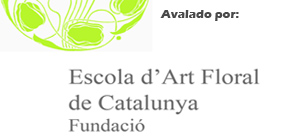 escola